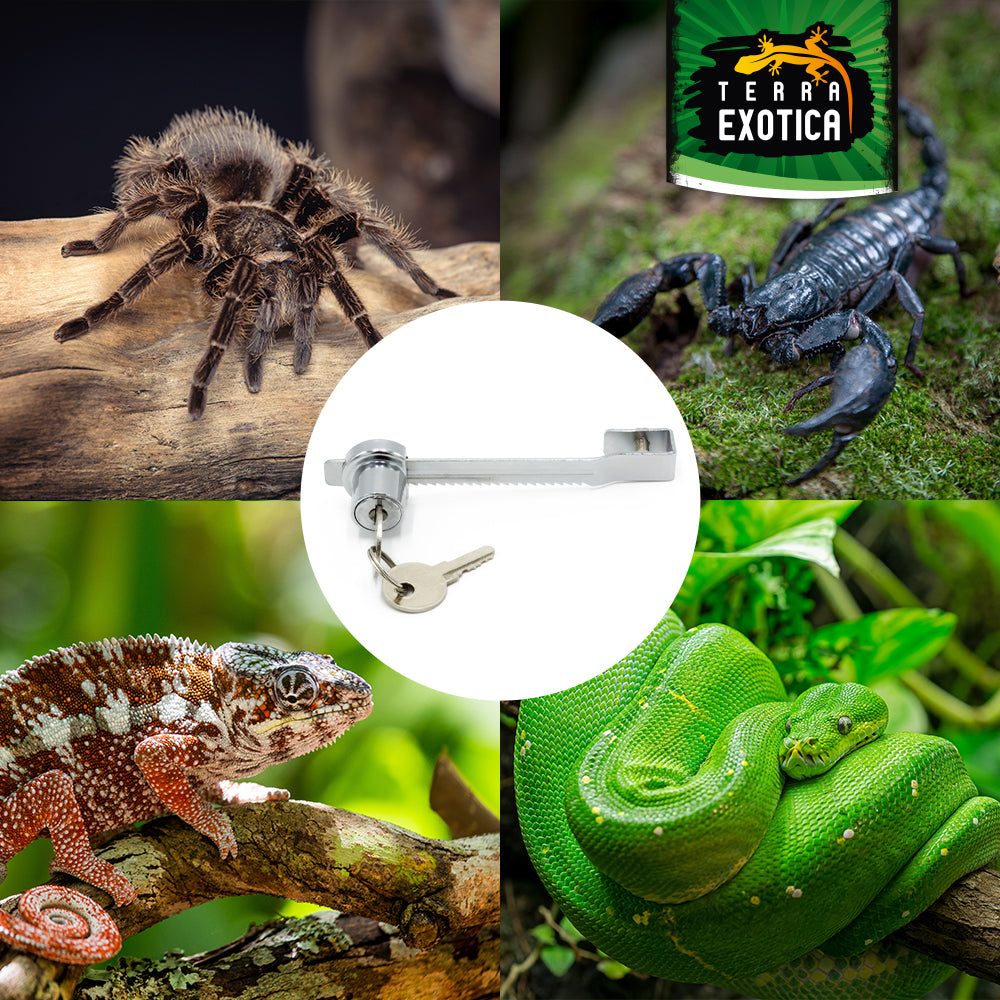 Terra Exotica Terrarienschloss – für Schiebescheiben Schloss