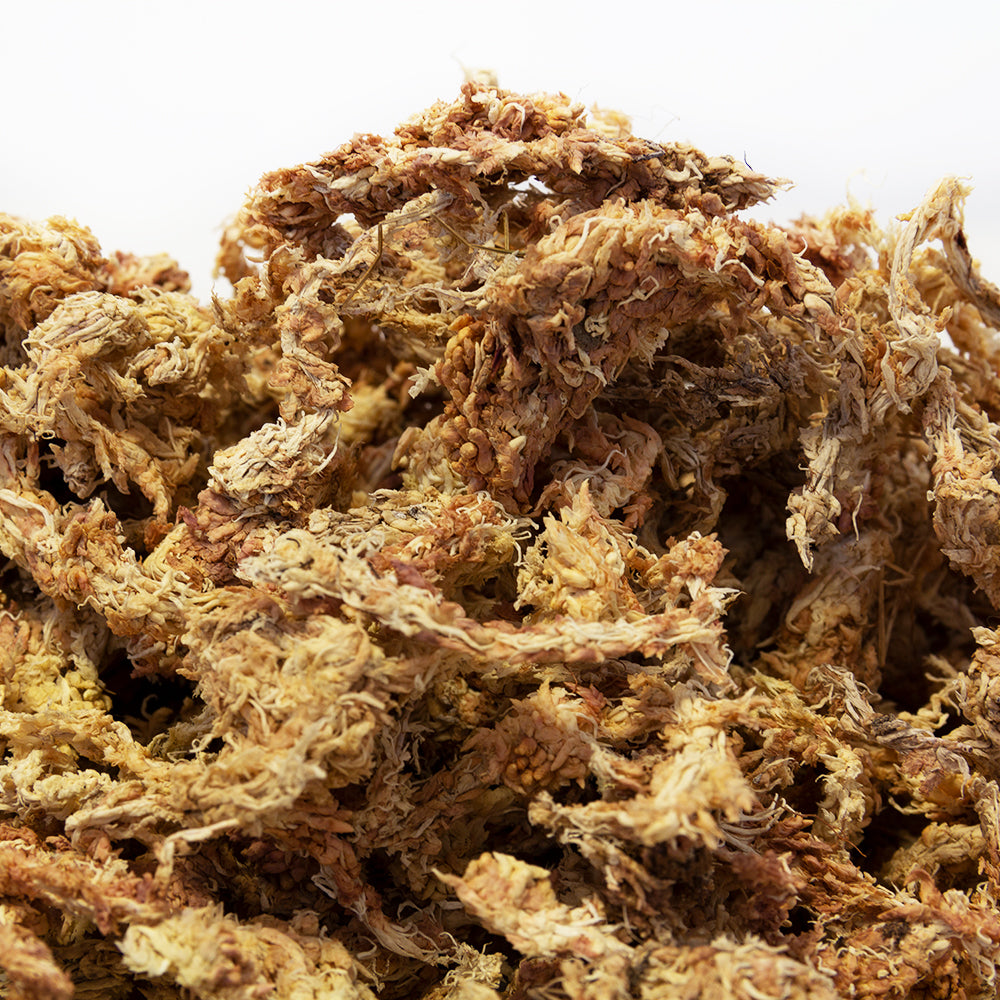 Terra Exotica Sphagnum Moos 100g
