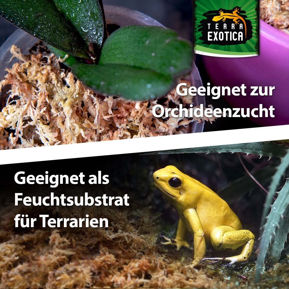 Terra Exotica Sphagnum Moos 100g