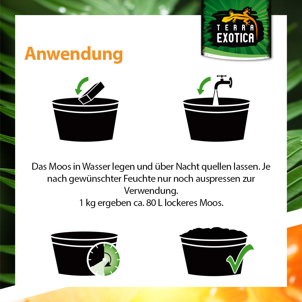 Terra Exotica Sphagnum Moos 100g