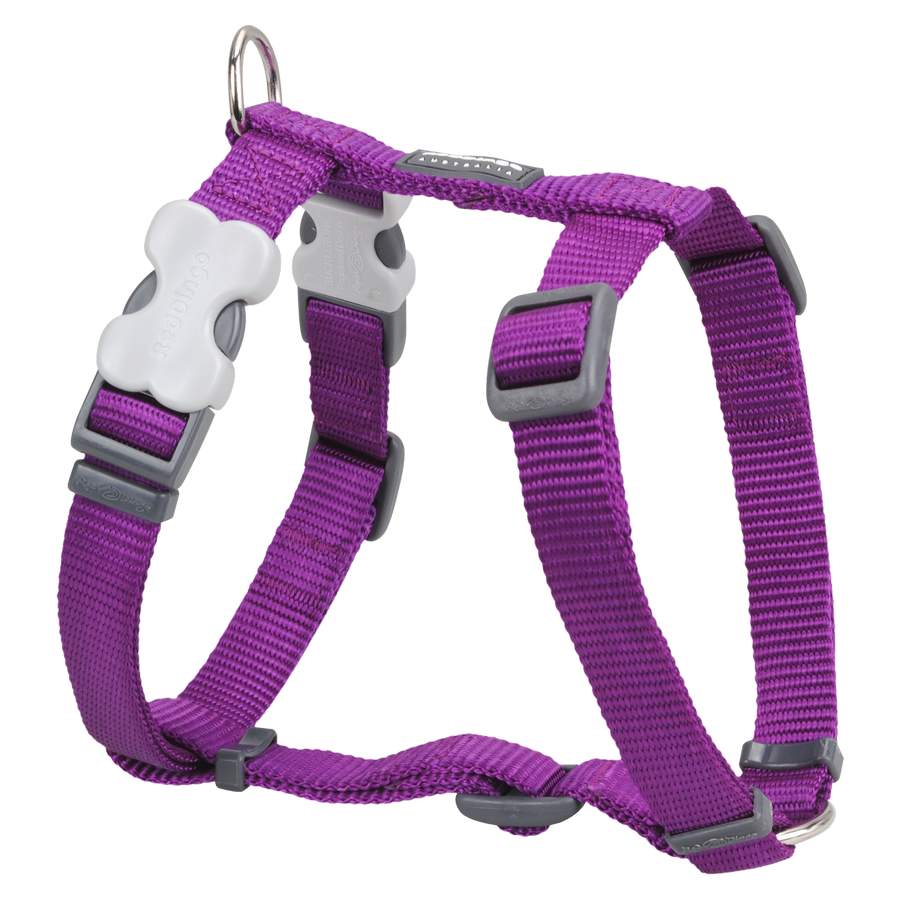 Red Dingo H-Geschirr – Violett (30–44 cm / 12 mm)