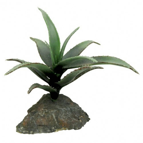 Lucky Reptile Agave – künstliche Sukkulente für Terrarien (ca. 15 cm) –  Pfoten und Exoten
