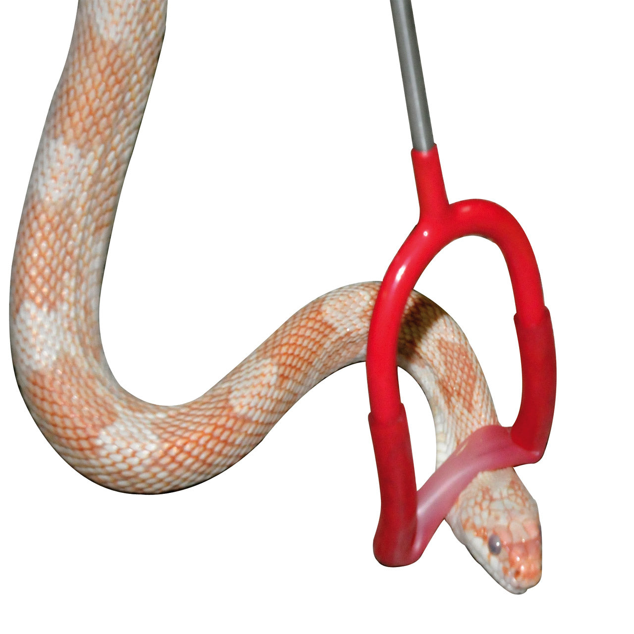 Lucky Reptile Schlangenstock – 60 cm