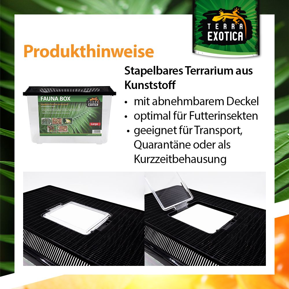 Terra Exotica Fauna Box Large 37 x 22 x 24,5 cm