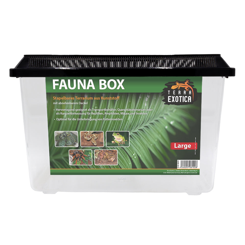 Terra Exotica Fauna Box Large 37 x 22 x 24,5 cm