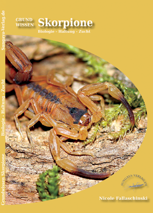 Sungaya Verlag Grundwissen Skorpione Biologie, Haltung, Zucht