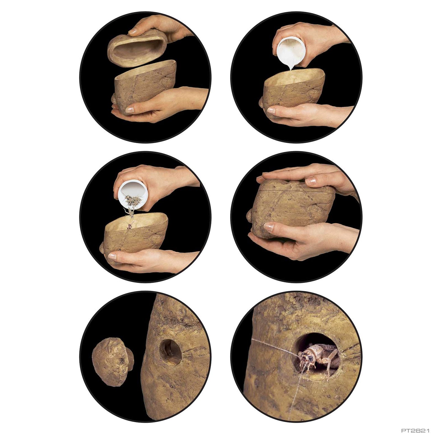 Exo Terra Feeding Rock – Futterstein für Grillen