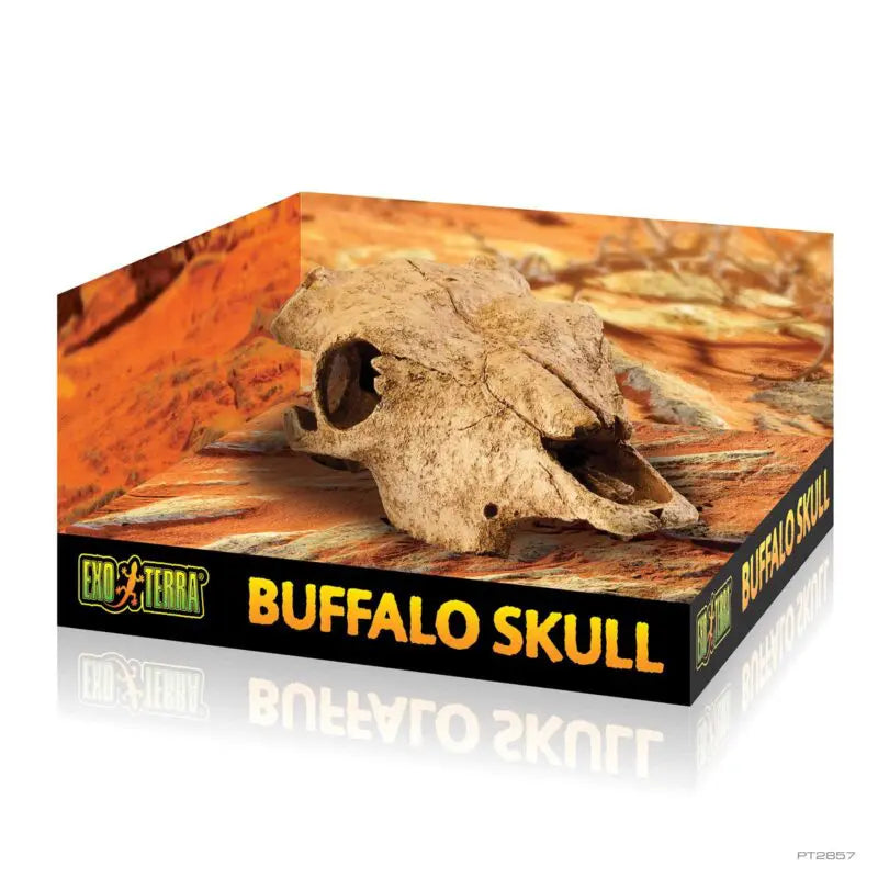 Exo Terra Buffalo Skull Versteck