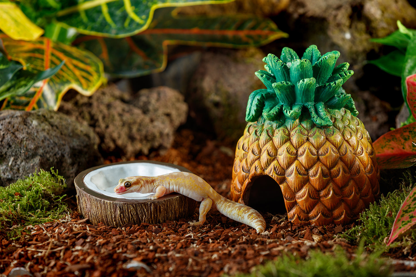 Exo Terra Coconut – Kokosnuss-Wassernapf