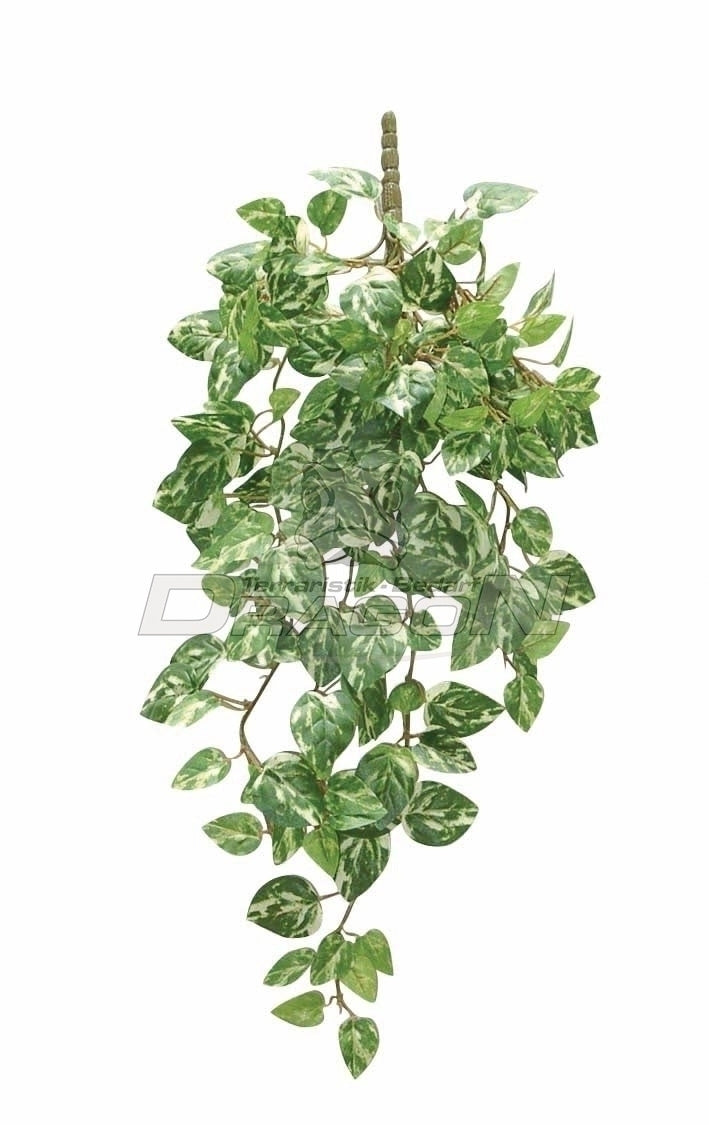 DRAGON Pothosranke – Künstliche Rankpflanze für naturnahe Terrariengestaltung