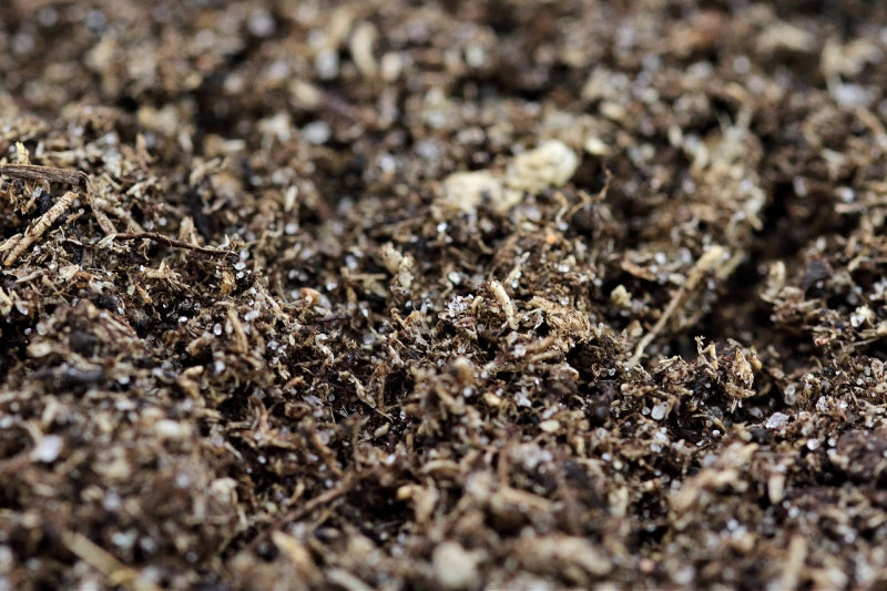 The Pet Factory Spider Ground – 2,5 kg Spezialbodengrund für Vogelspinnen