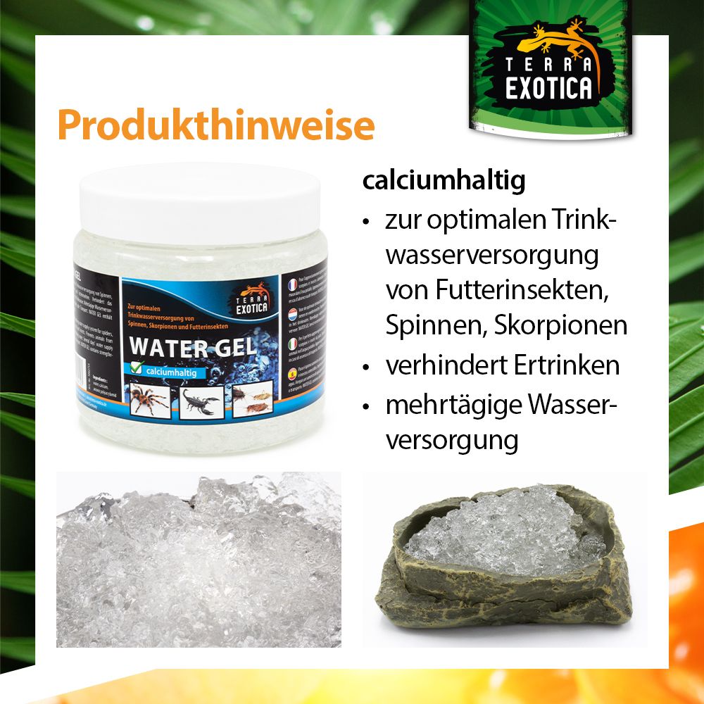 Terra Exotica Water Gel – Trinkwasserversorgung für Spinnen, Skorpione und Futterinsekten