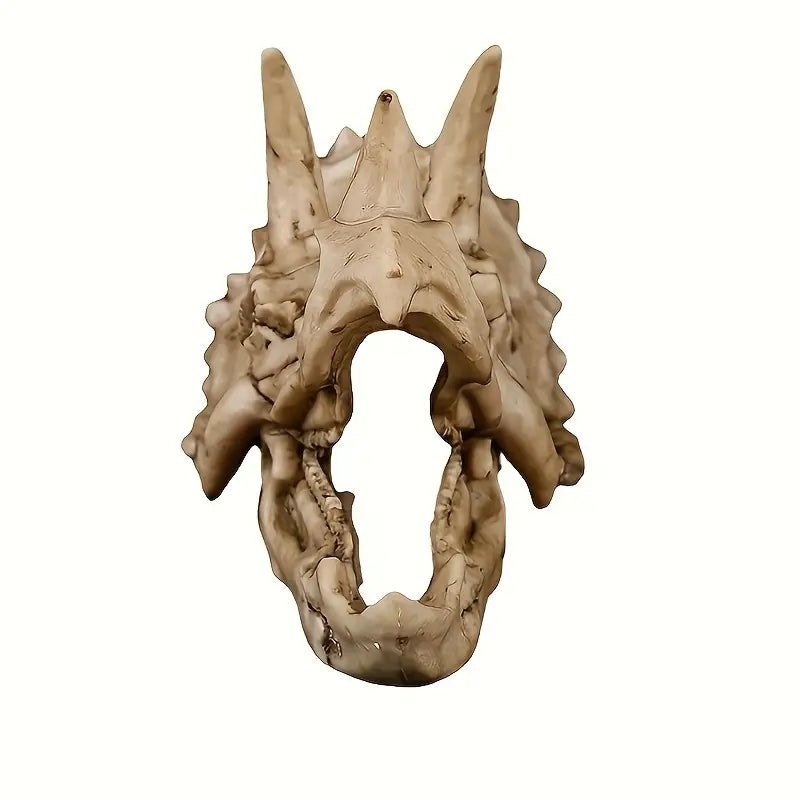 Nuber Triceratops-Schädel