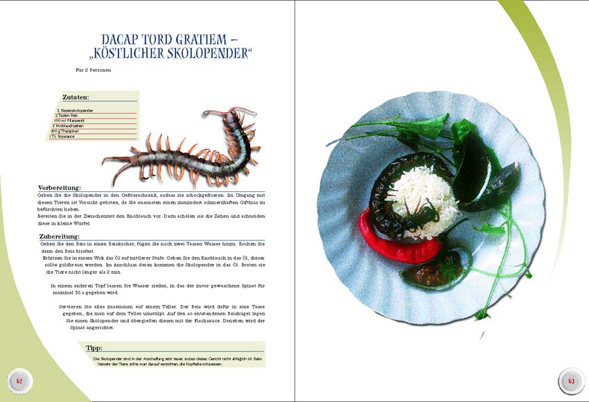 NTV Das Insektenkochbuch Der etwas andere Geschmack