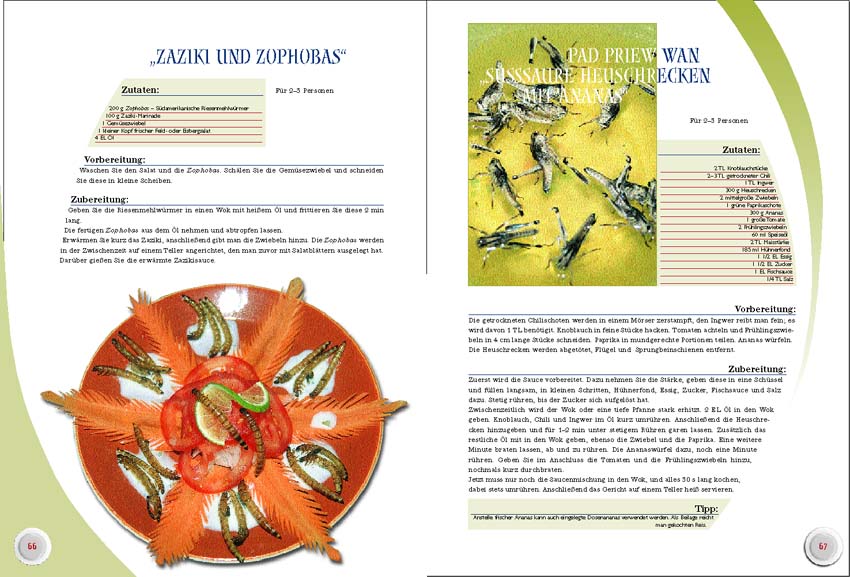 NTV Das Insektenkochbuch Der etwas andere Geschmack