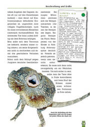 NTV Die Kragenechse Chlamydosaurus kingii
