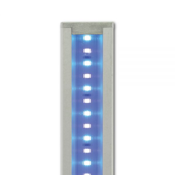 Econlux SolarRaptor SunStrip 20 Actinic Moon – LED
