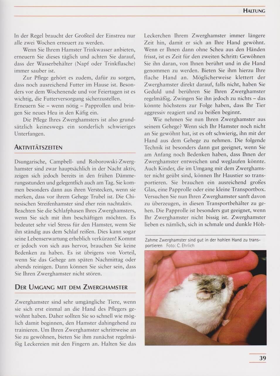 B-Ware NTV Zwerghamster Biologie, Haltung, Zucht der Gattung Calomyscidae
