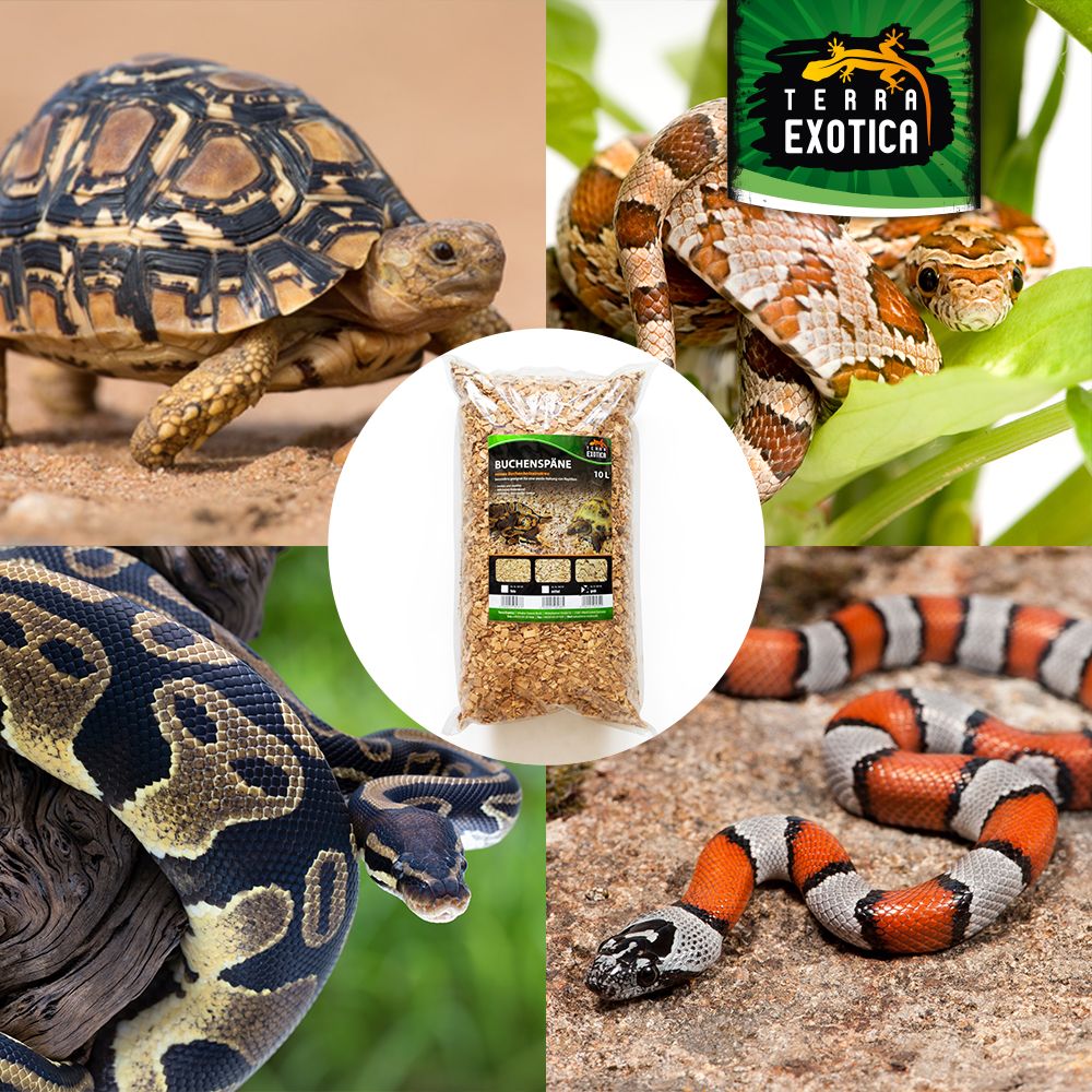 Terra Exotica Buchenspäne – 10 Liter (grob, 3–10 mm Körnung)