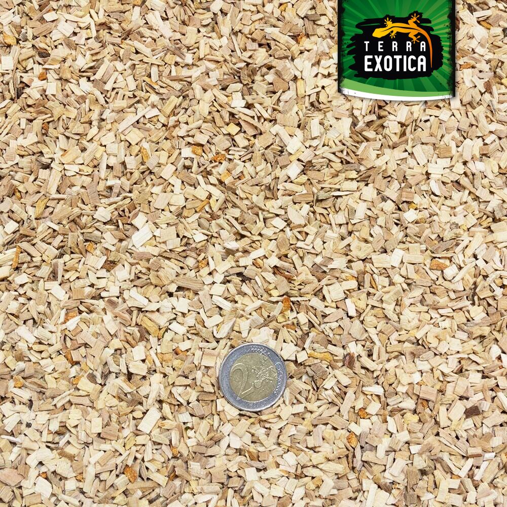 Terra Exotica Buchenspäne – 20 Liter (mittel, 3–5 mm Körnung)