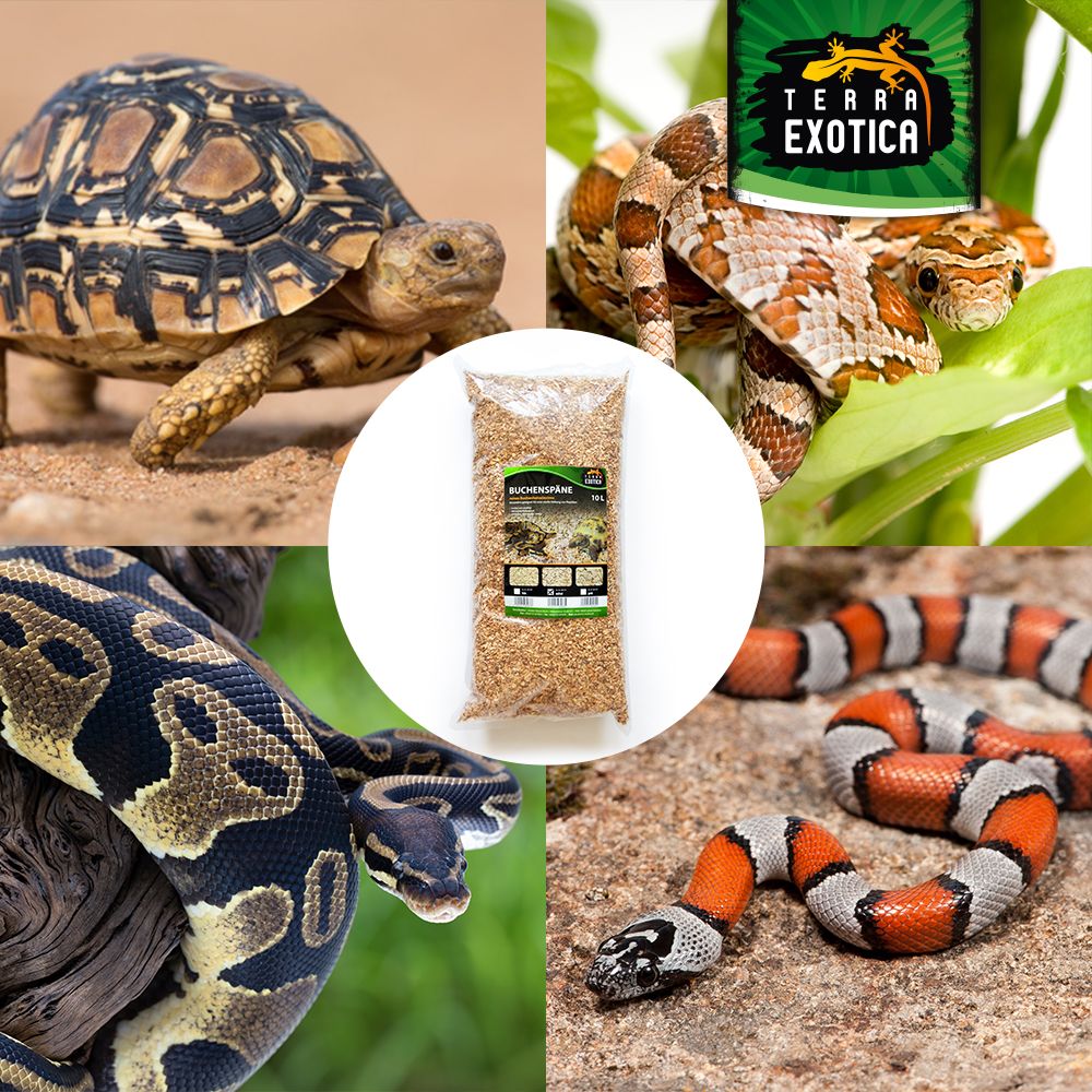 Terra Exotica Buchenspäne – 20 Liter (mittel, 3–5 mm Körnung)