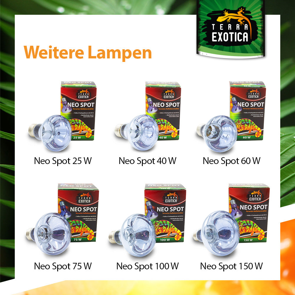 Terra Exotica Neo Spot Lampe
