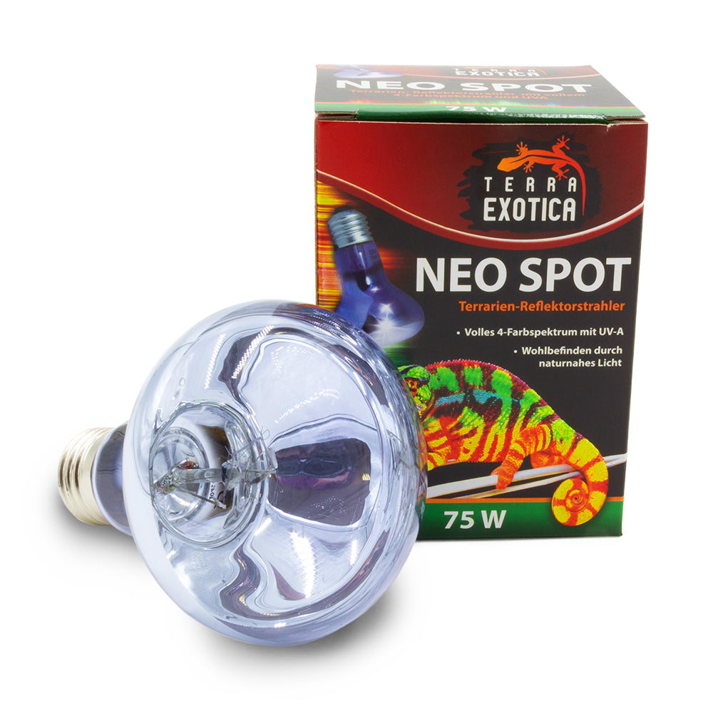 Terra Exotica Neo Spot Lampe