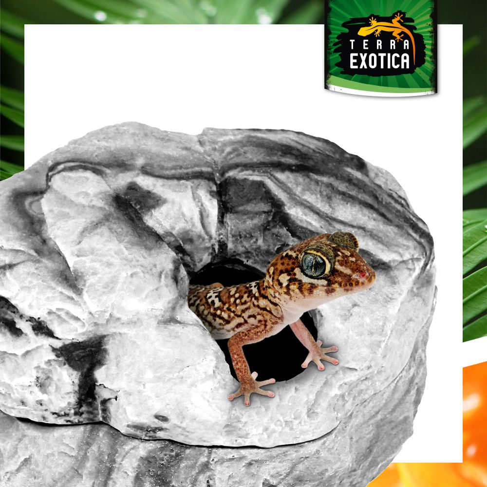 Terra Exotica Hiding Shelter – Sandstone oder Granit