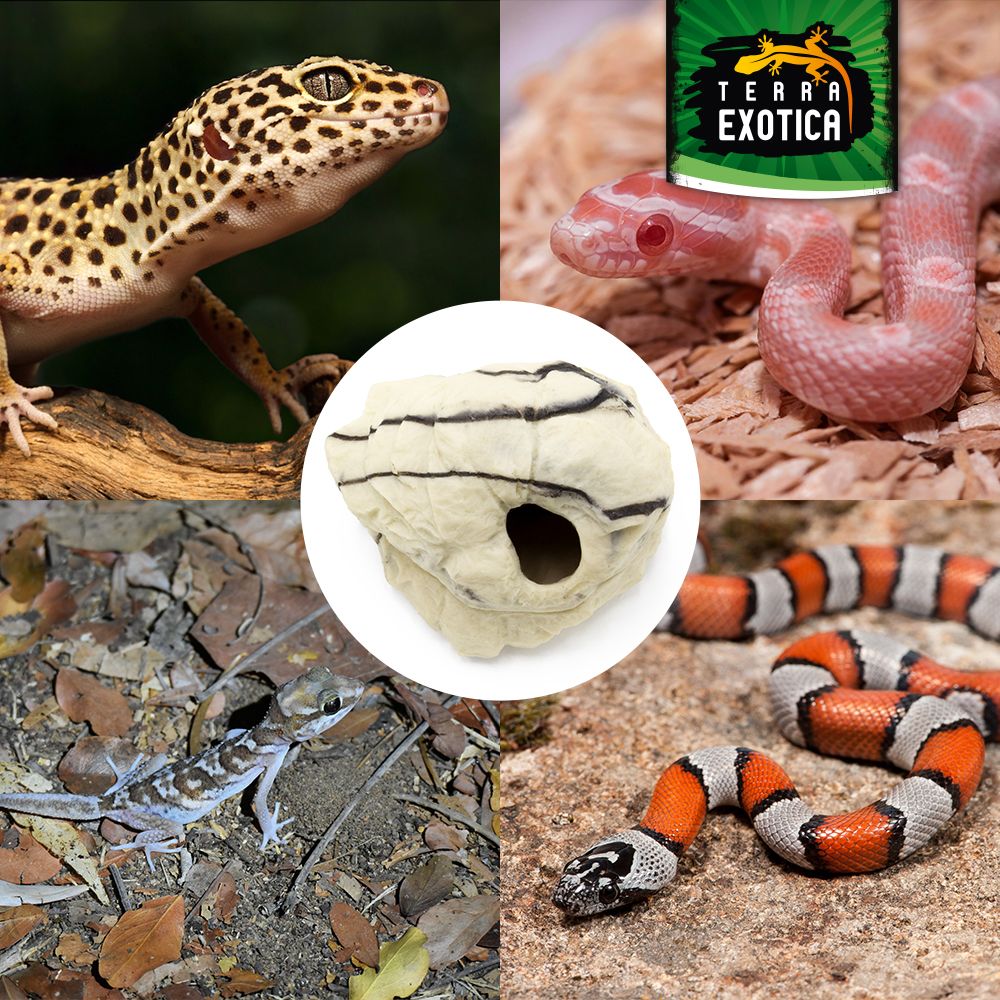 Terra Exotica Hiding Shelter – Sandstone oder Granit