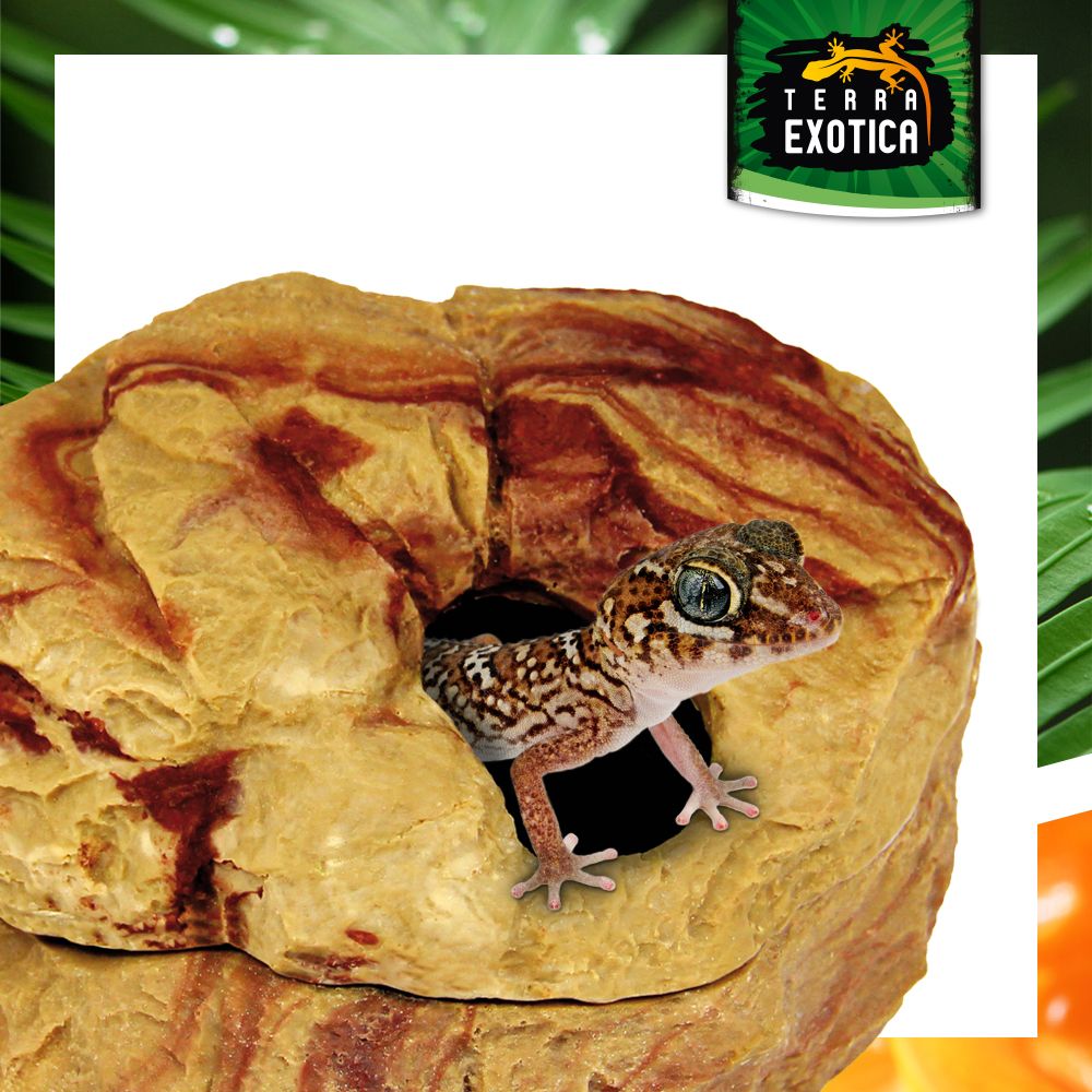 Terra Exotica Hiding Shelter – Sandstone oder Granit