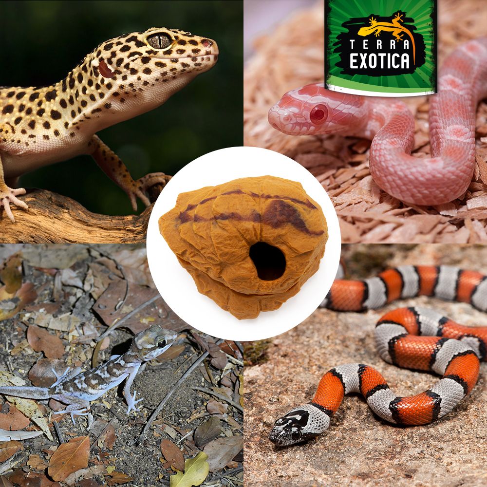 Terra Exotica Hiding Shelter – Sandstone oder Granit