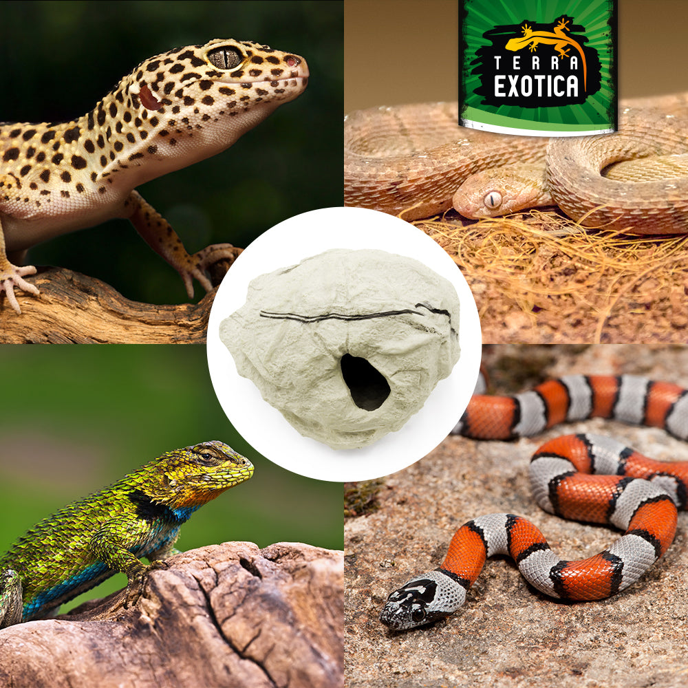 Terra Exotica Hiding Shelter – Sandstone oder Granit