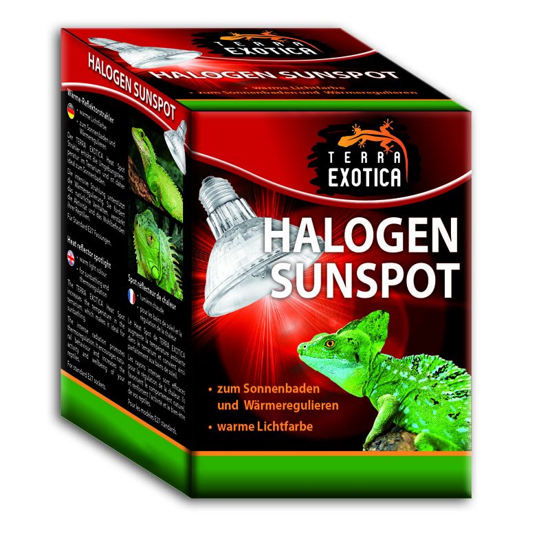 Terra Exotica Halogen Sunspot – Halogen-Spotstrahler