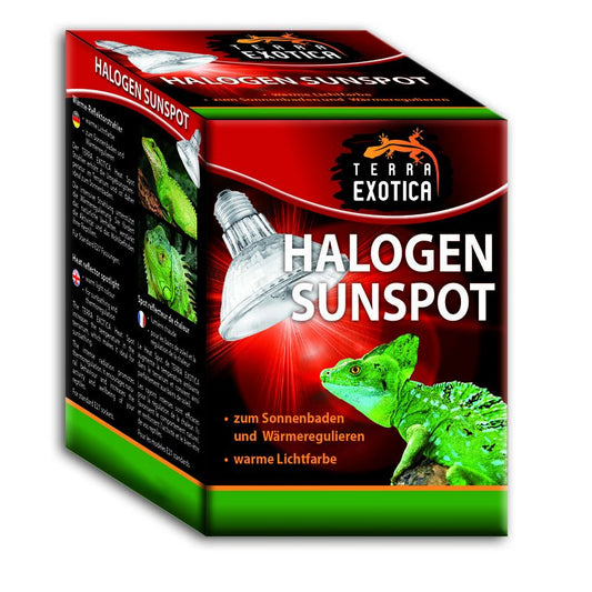 Terra Exotica Halogen Sunspot – Halogen-Spotstrahler