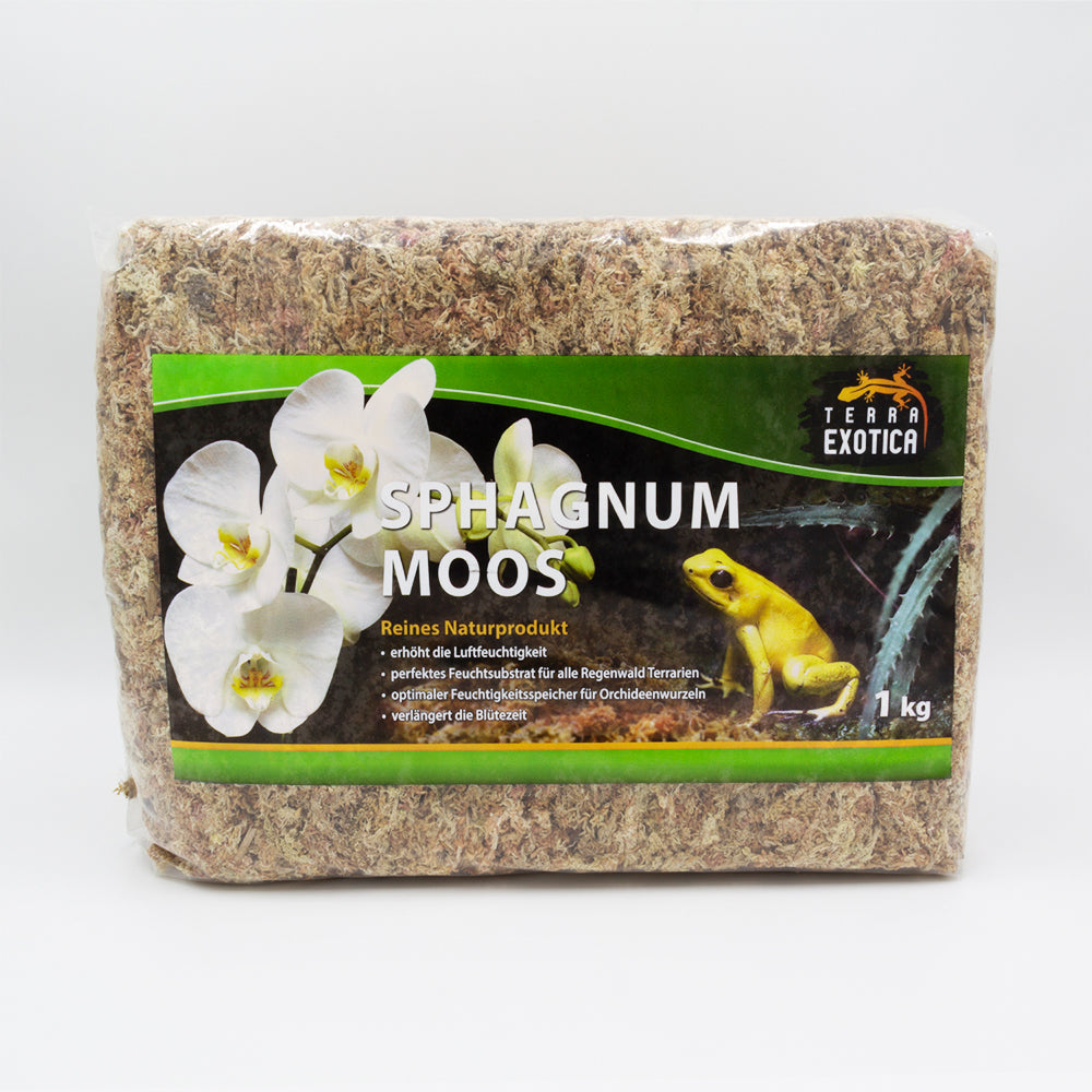 Terra Exotica Sphagnum Moos