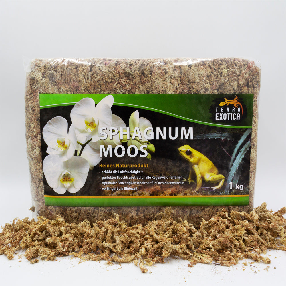 Terra Exotica Sphagnum Moos