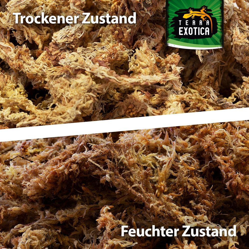 Terra Exotica Sphagnum Moos 100g