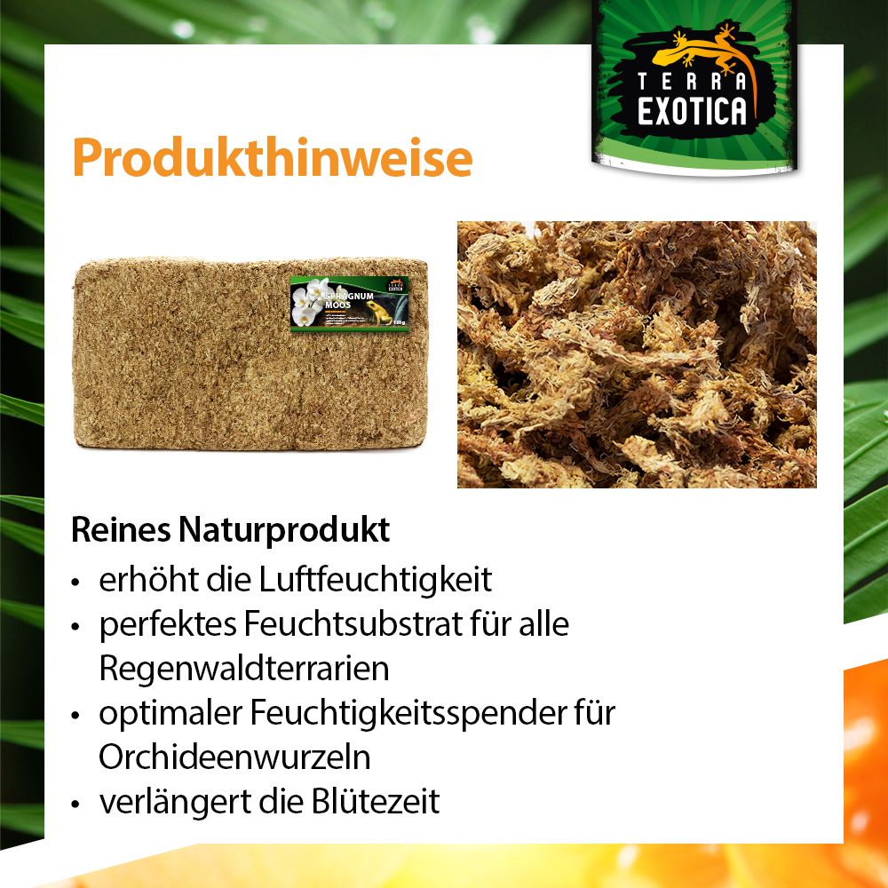 Terra Exotica Sphagnum Moos