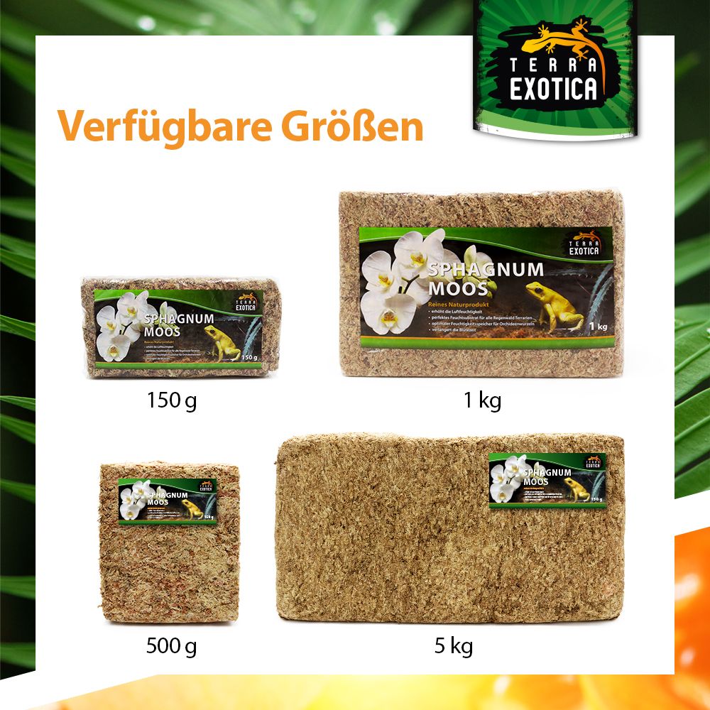 Terra Exotica Sphagnum Moos