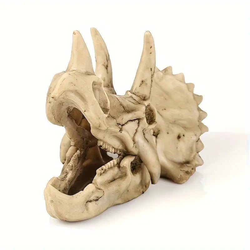 Nuber Triceratops-Schädel