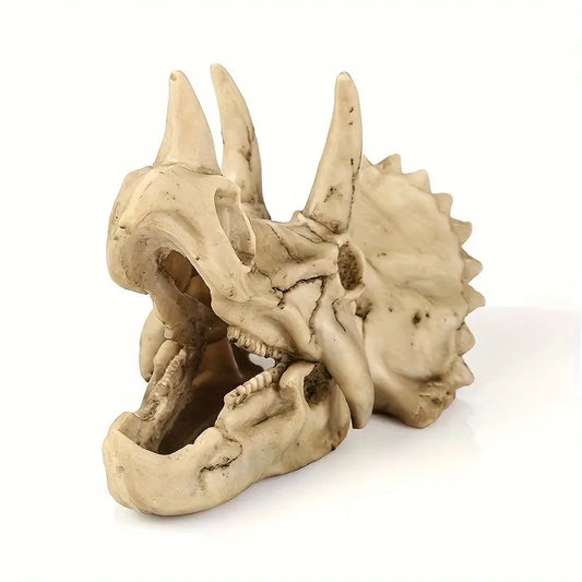 Nuber Triceratops-Schädel