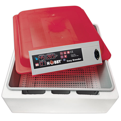 Hobby Easy Breeder Inkubator