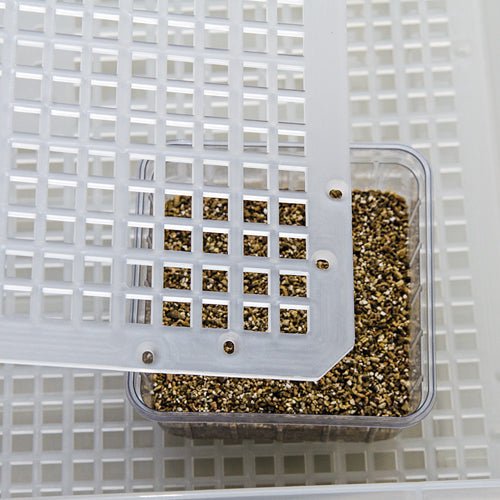 Hobby Easy Breeder Inkubator