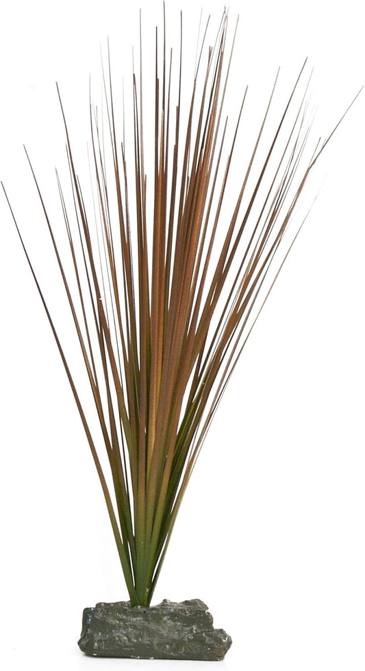 Zoo Med Buch Grass