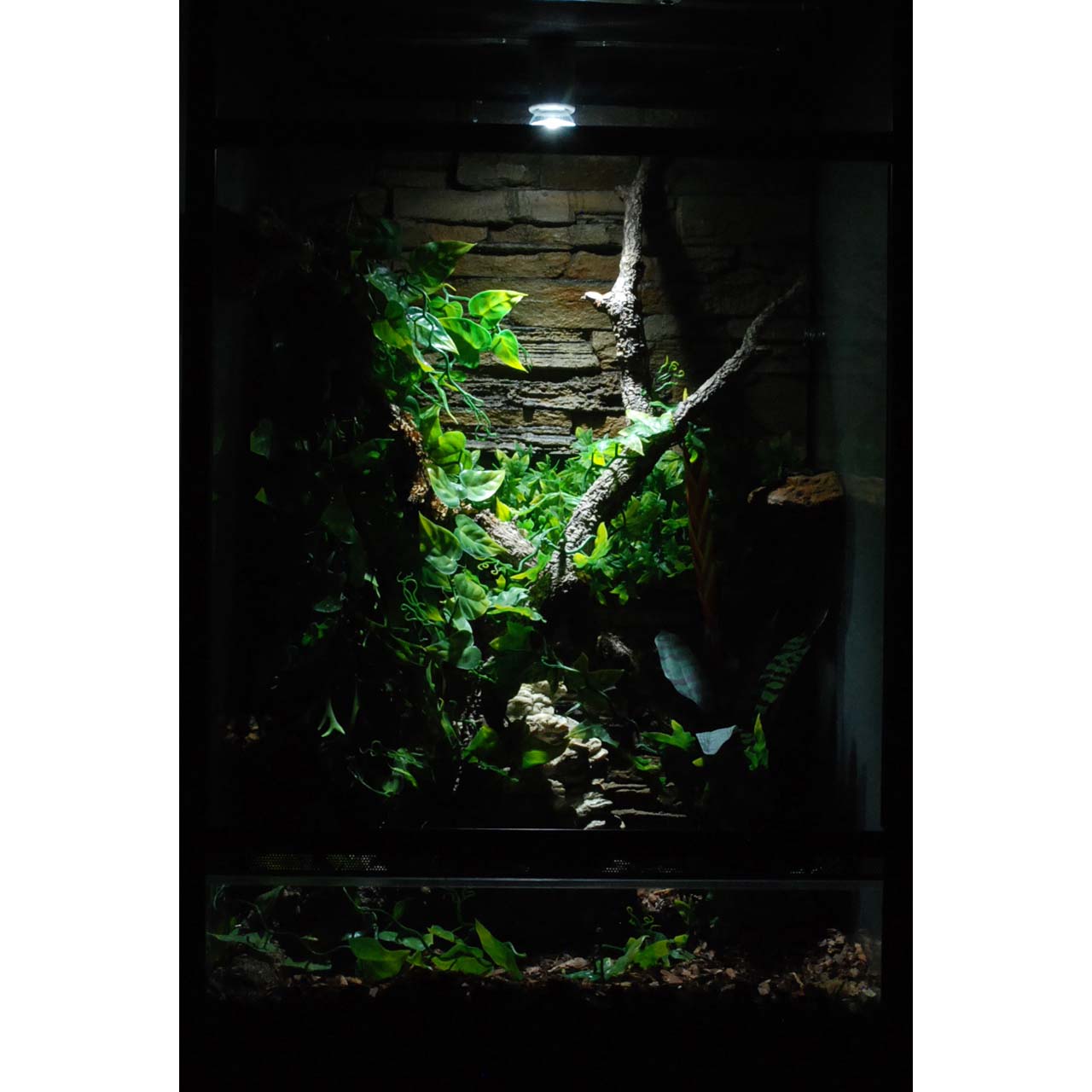 Lucky Reptile LED Sun Mini Strahler 5W