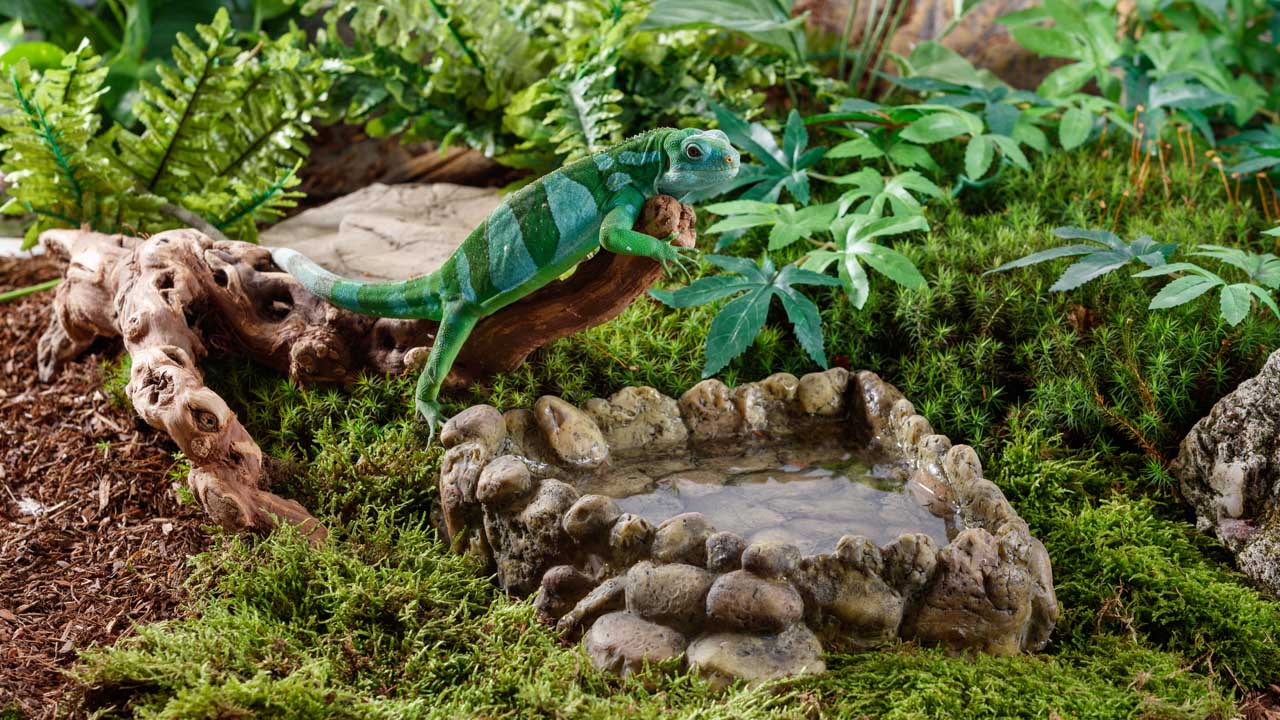 Exo Terra Corner Water Dish – Eck-Wassernapf für Terrarien