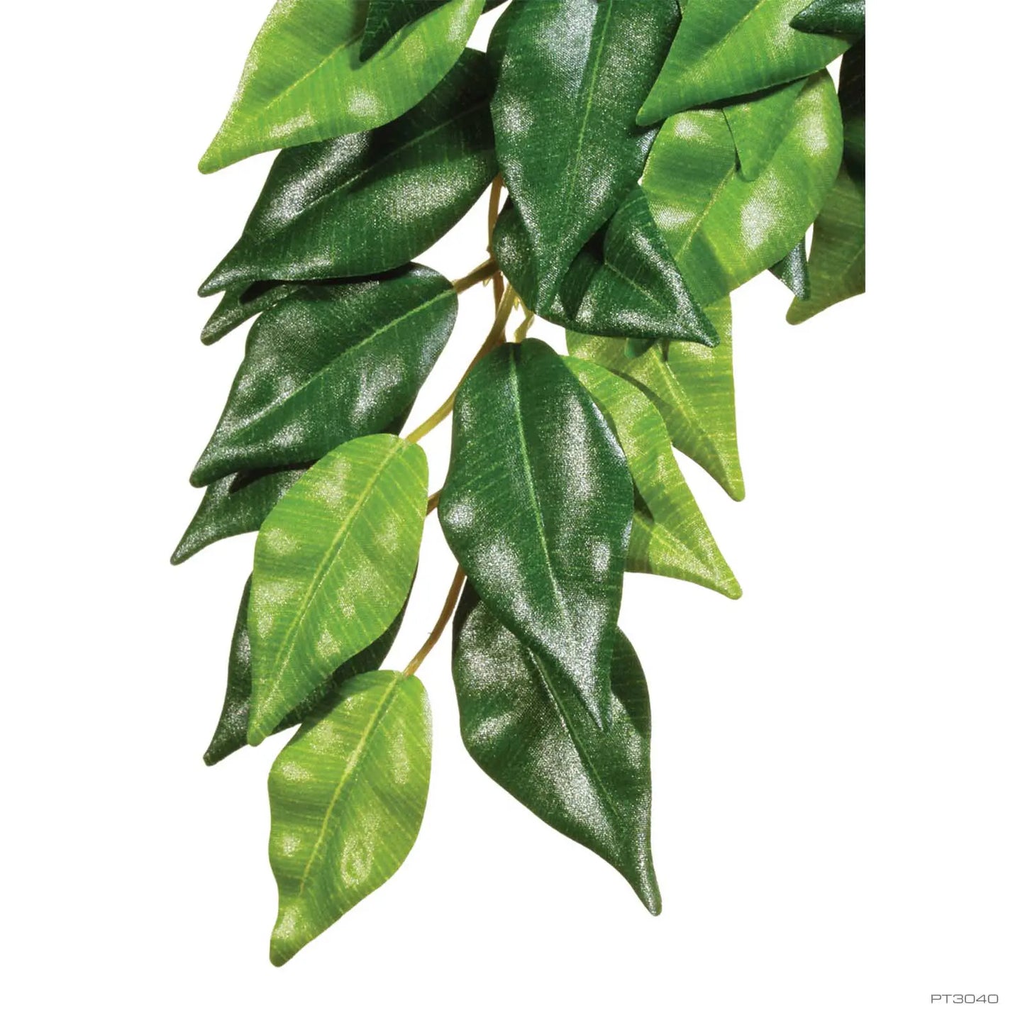 Exo Terra Ficus– Hängende Regenwaldpflanze (künstlich)