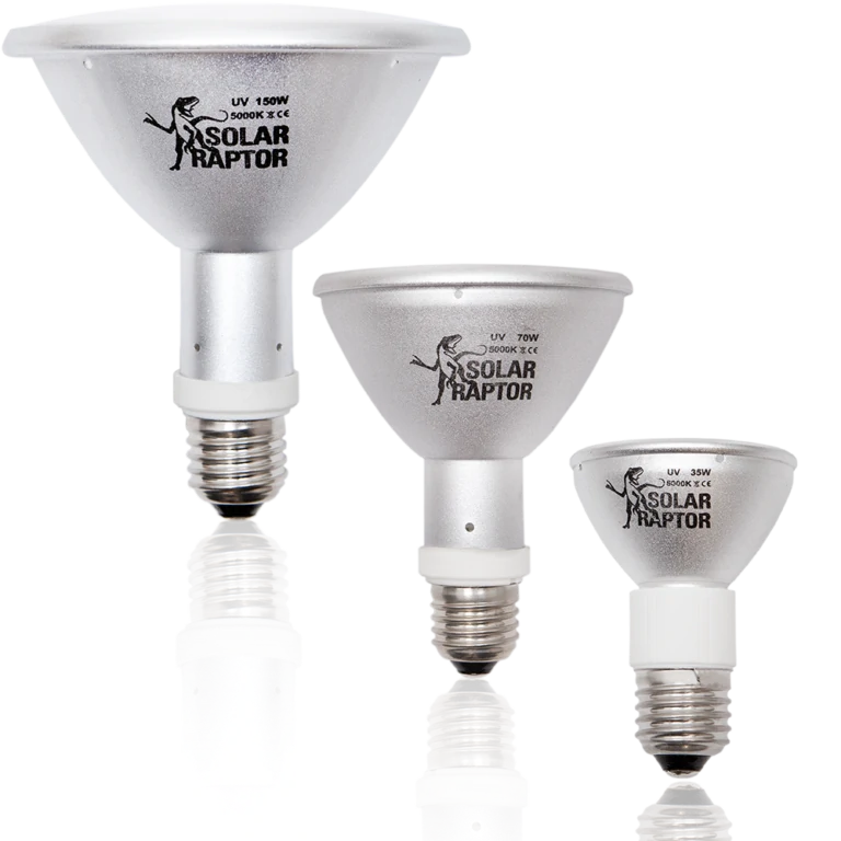 SolarRaptor HID-Lamp – Hochdruckmetalldampflampe mit UV-A Lampe UVB