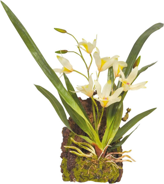 B-Ware Lucky Reptile Kunstpflanze – Orchidee / Hängeorchidee