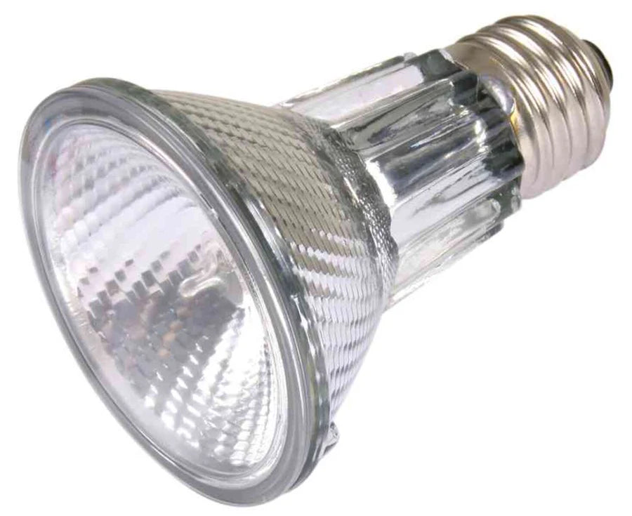 Trixie Halogen Heat Spot Pro – Halogen-Spotstrahler